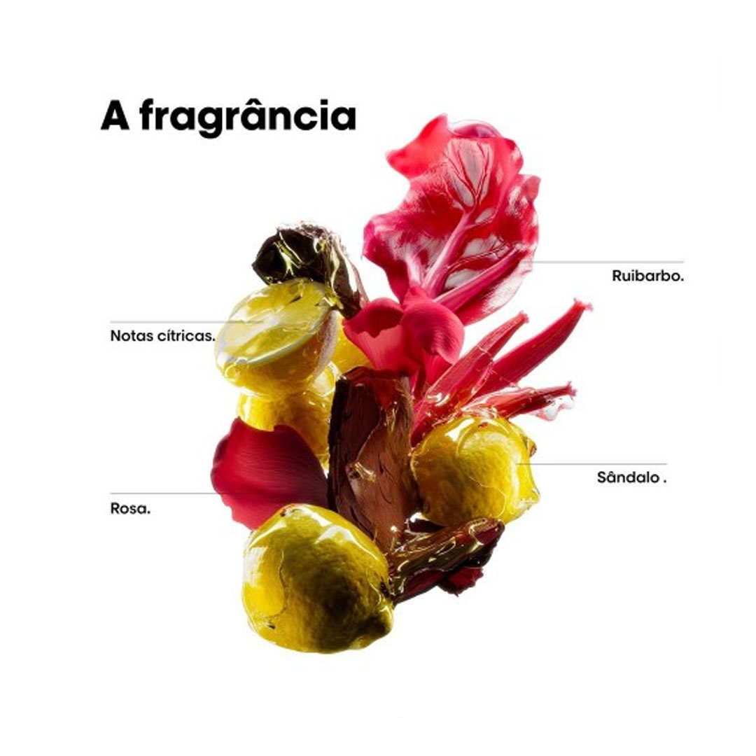 Loreal SE Vitamino Color Spectrum champô recarga