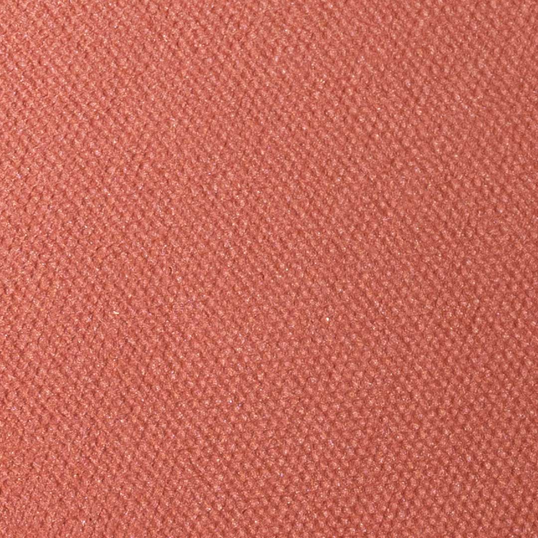 Andreia makeup Immersive blush 04