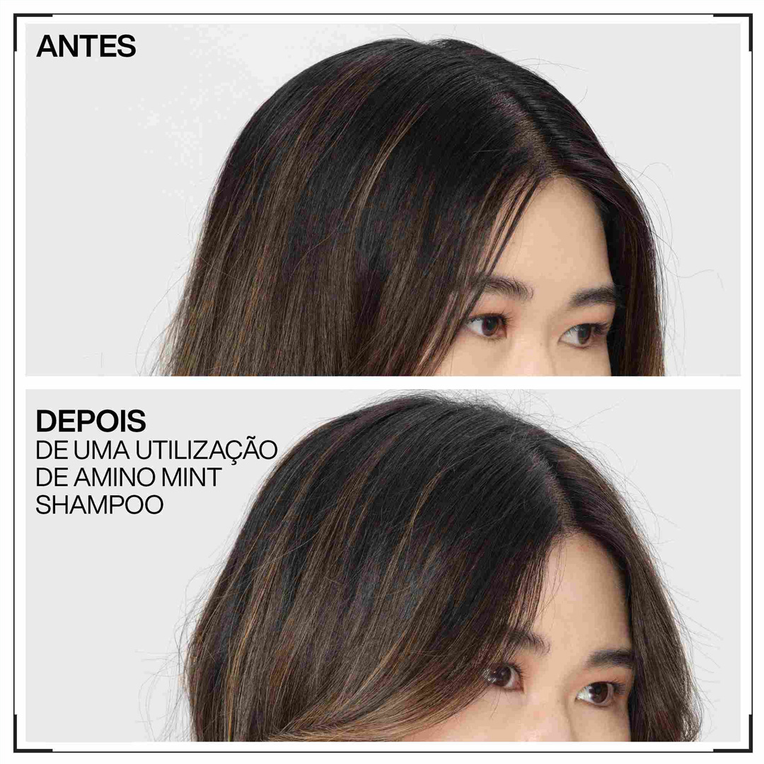 Redken Amino-Mint champô