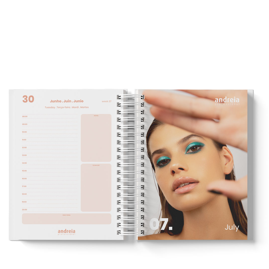 Andreia agenda diária 2026