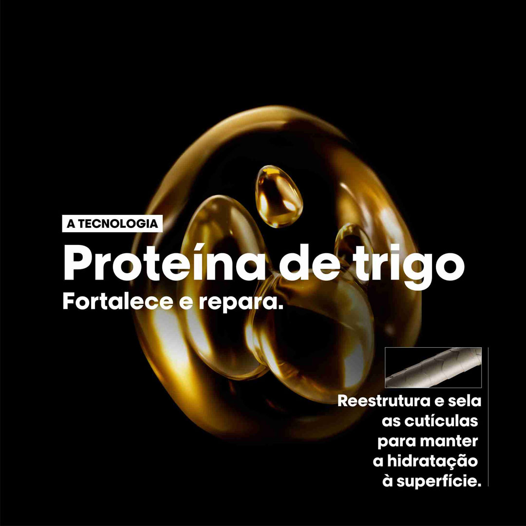 Loreal SE Absolut Repair Meteora coffret duo