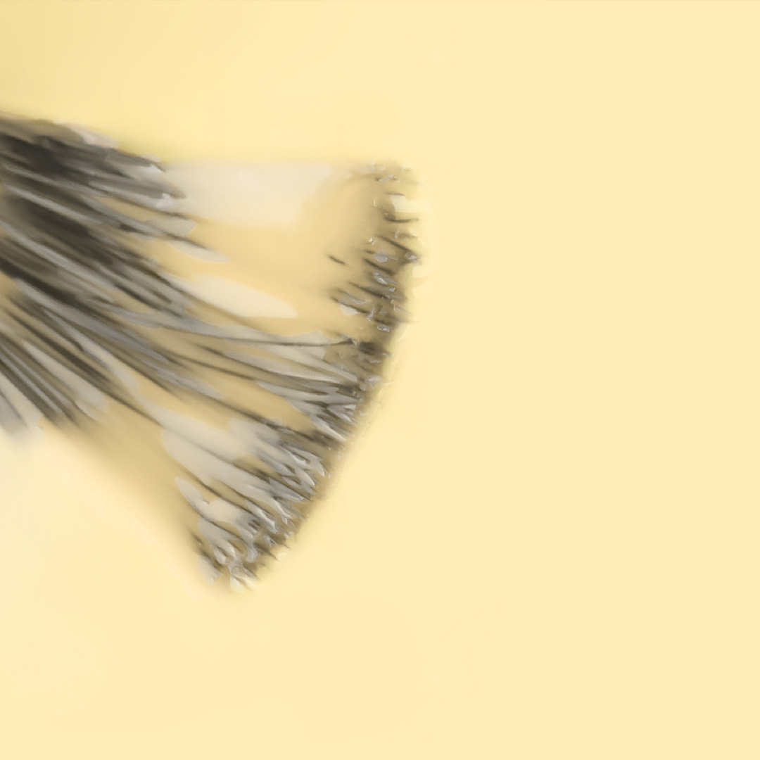 Inocos verniz gel Sem Regras Sou Básica, e depois? GP514